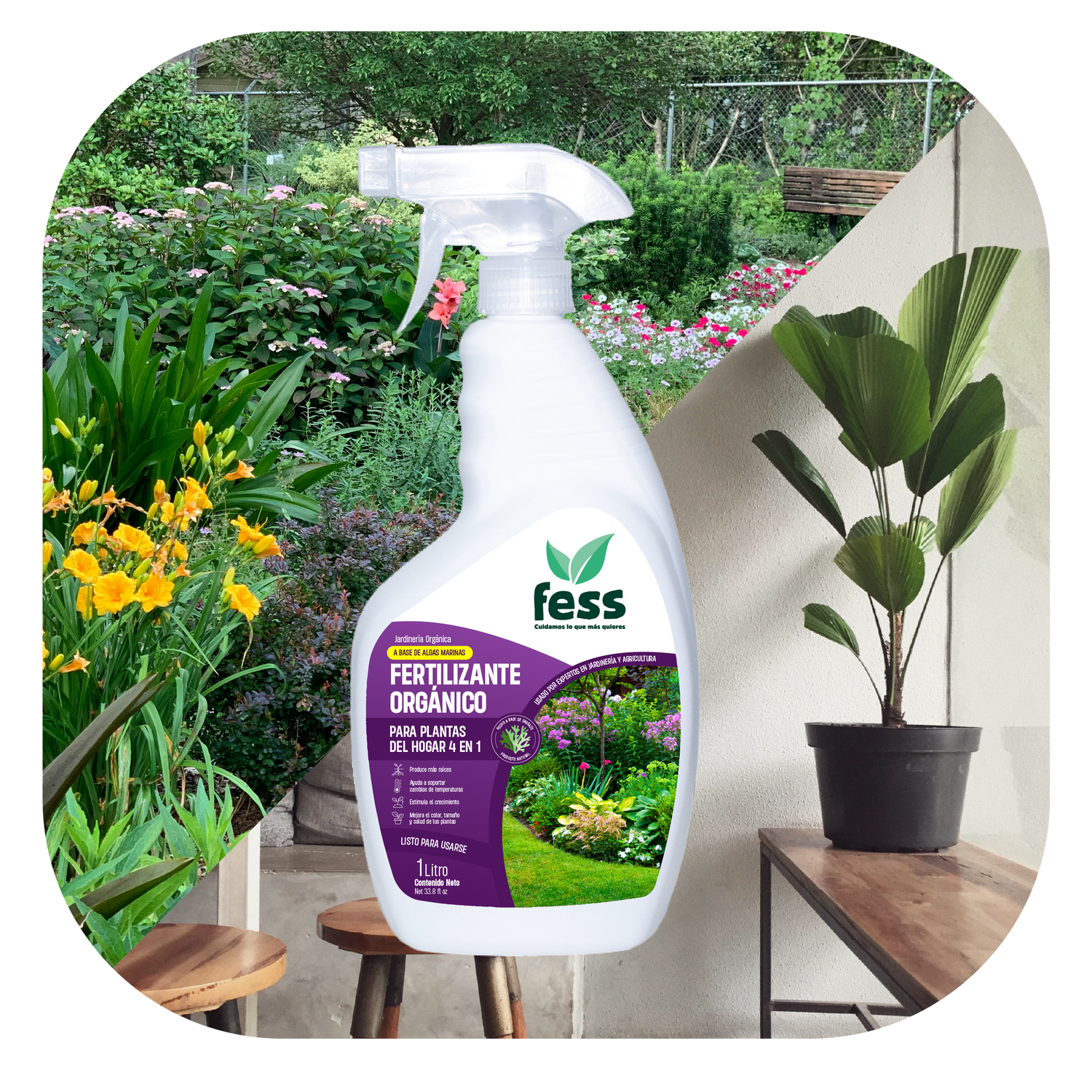 Fertilizantes orgánicos para plantas a base de Algas Marinas. Libres de químicos agresivos. Para Plantas del Hogar.
