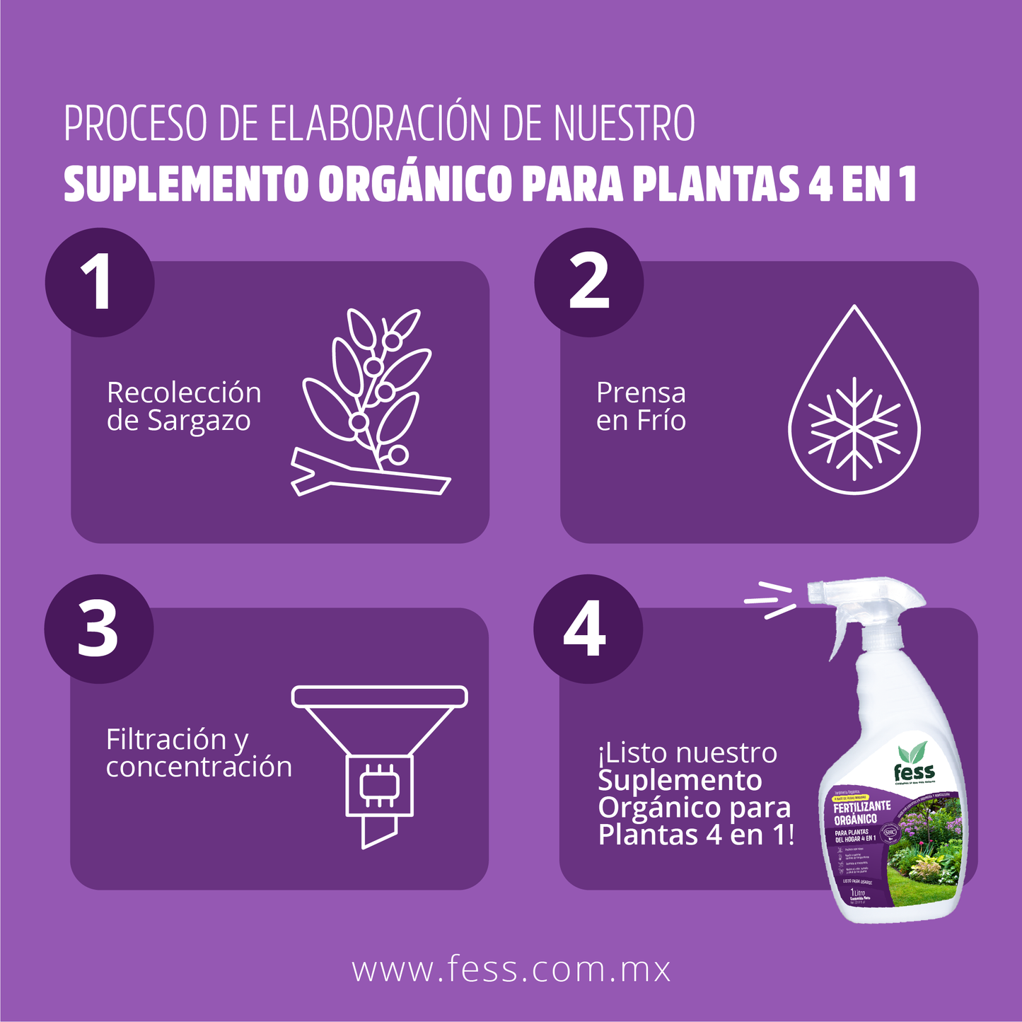 Fertilizantes orgánicos para plantas a base de Algas Marinas. Libres de químicos agresivos. Para Plantas del Hogar.
