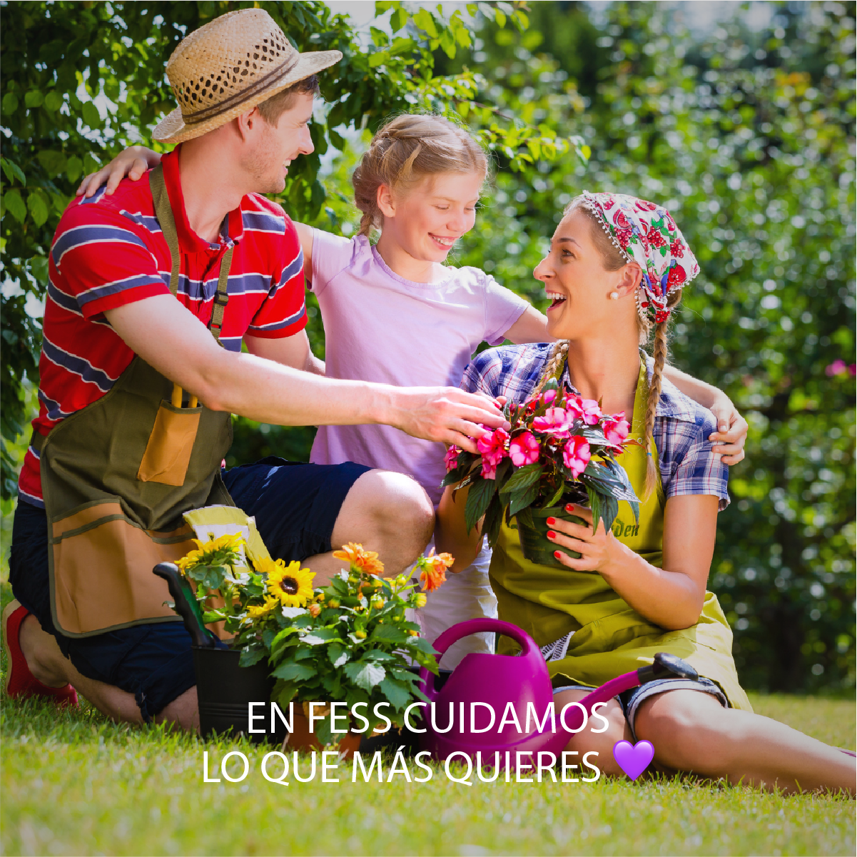 Fertilizantes orgánicos para plantas a base de Algas Marinas. Libres de químicos agresivos. Para Plantas del Hogar.