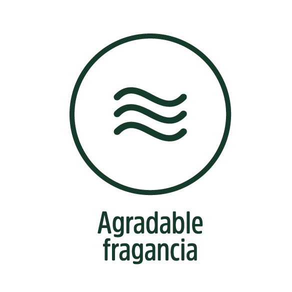 Repelente Natural de Hormigas, Cucarachas, otros Insectos para uso en casa y jardín. Aroma Canela. Limpia y desinfecta tu hogar. Soluciones naturales para plagas.