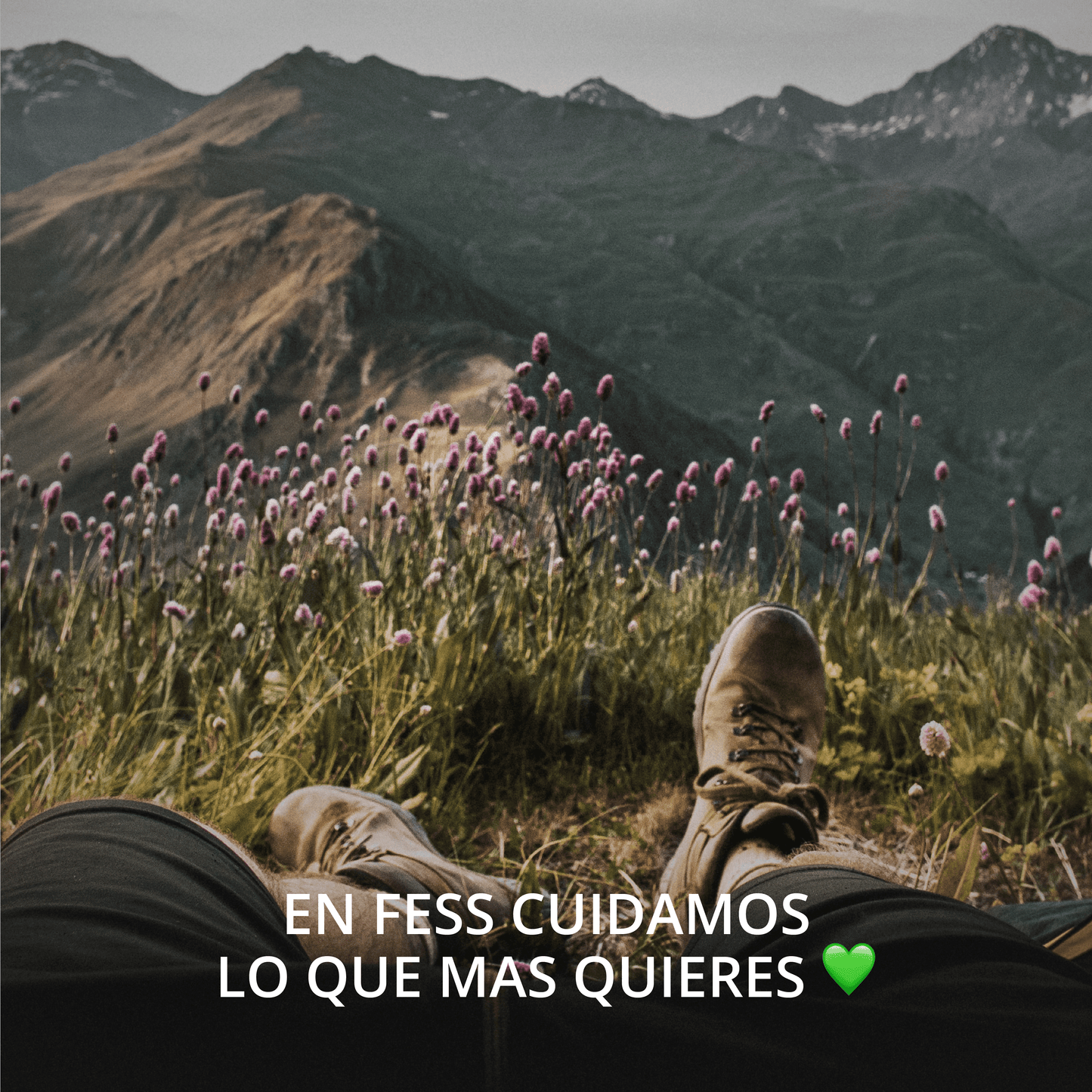 Repelente natural para serpientes para uso exterior. Efectivo para repeler y alejar todo tipo de serpientes.