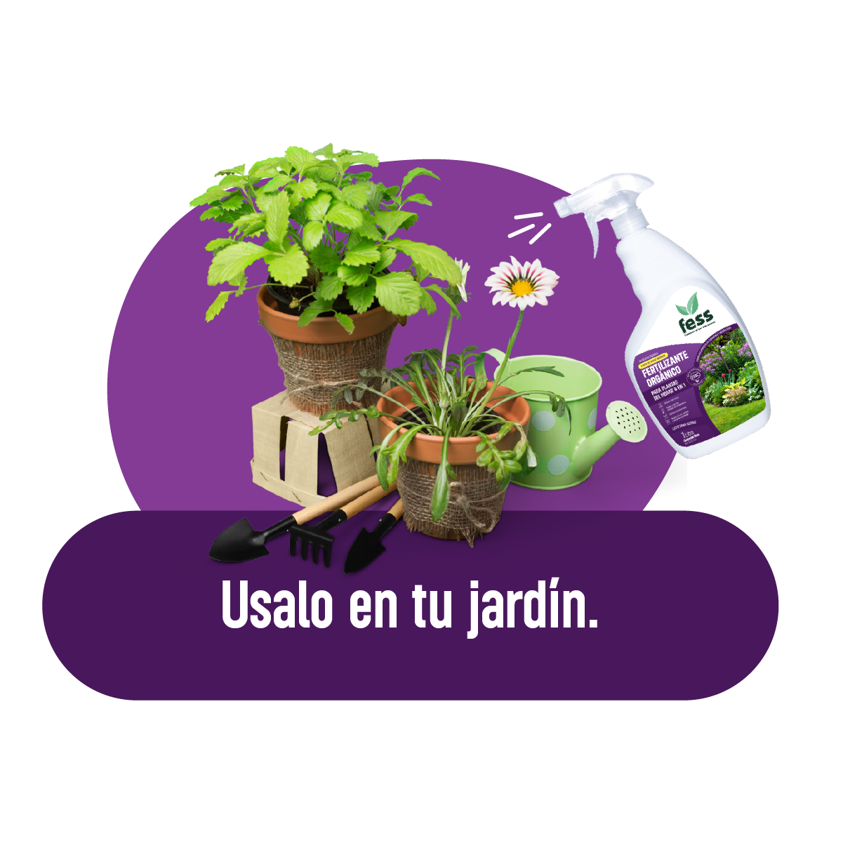 Fertilizante Orgánico Para Plantas del Hogar 4 en 1