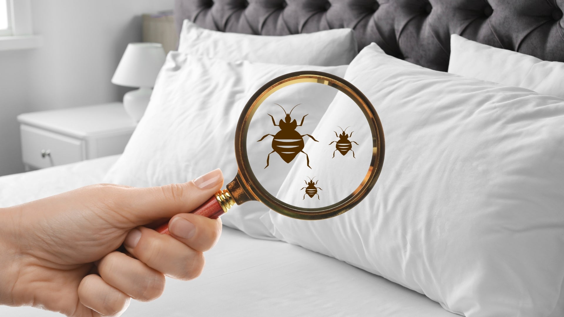 Desinfectante natural de ácaros y chinches para almohadas, textiles, colchón y otras zonas donde se acumula el polvo. Ayuda a evitar alergias derivadas al polvo de las casas.