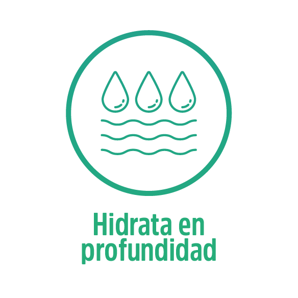 Shampoo Natural para Mascota con Aloe Vera, sin parabenos. Evita la caída de pelos, ayuda el brillo y suavidad para tu mascota.