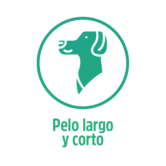 Shampoo Natural para Mascota con Aloe Vera, sin parabenos. Evita la caída de pelos, ayuda el brillo y suavidad para tu mascota.