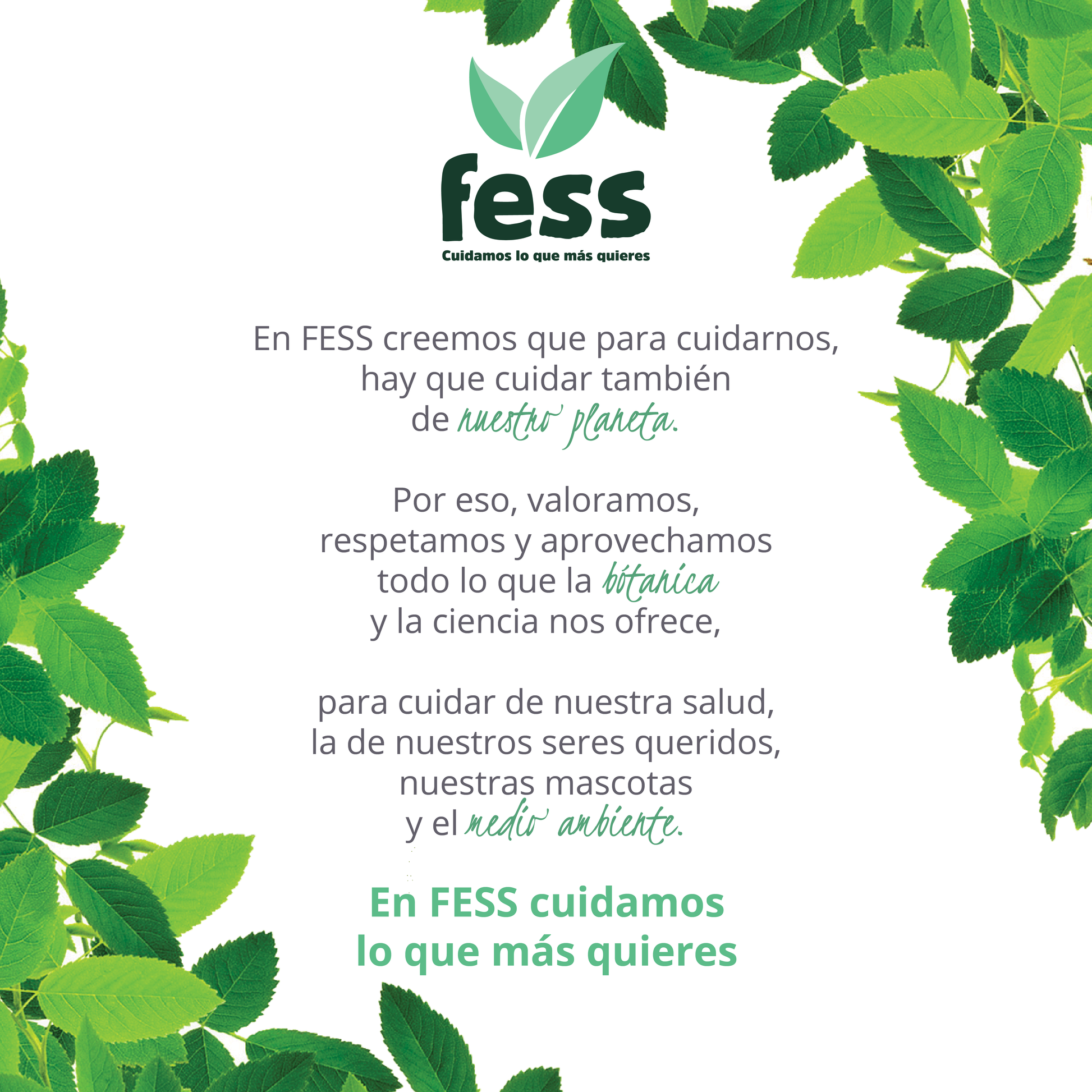Desinfectante natural antibacterial contra hongos para superficie. Limpia superficies, verduras, frutas. No tóxico, aroma agradable con ingredientes naturales.