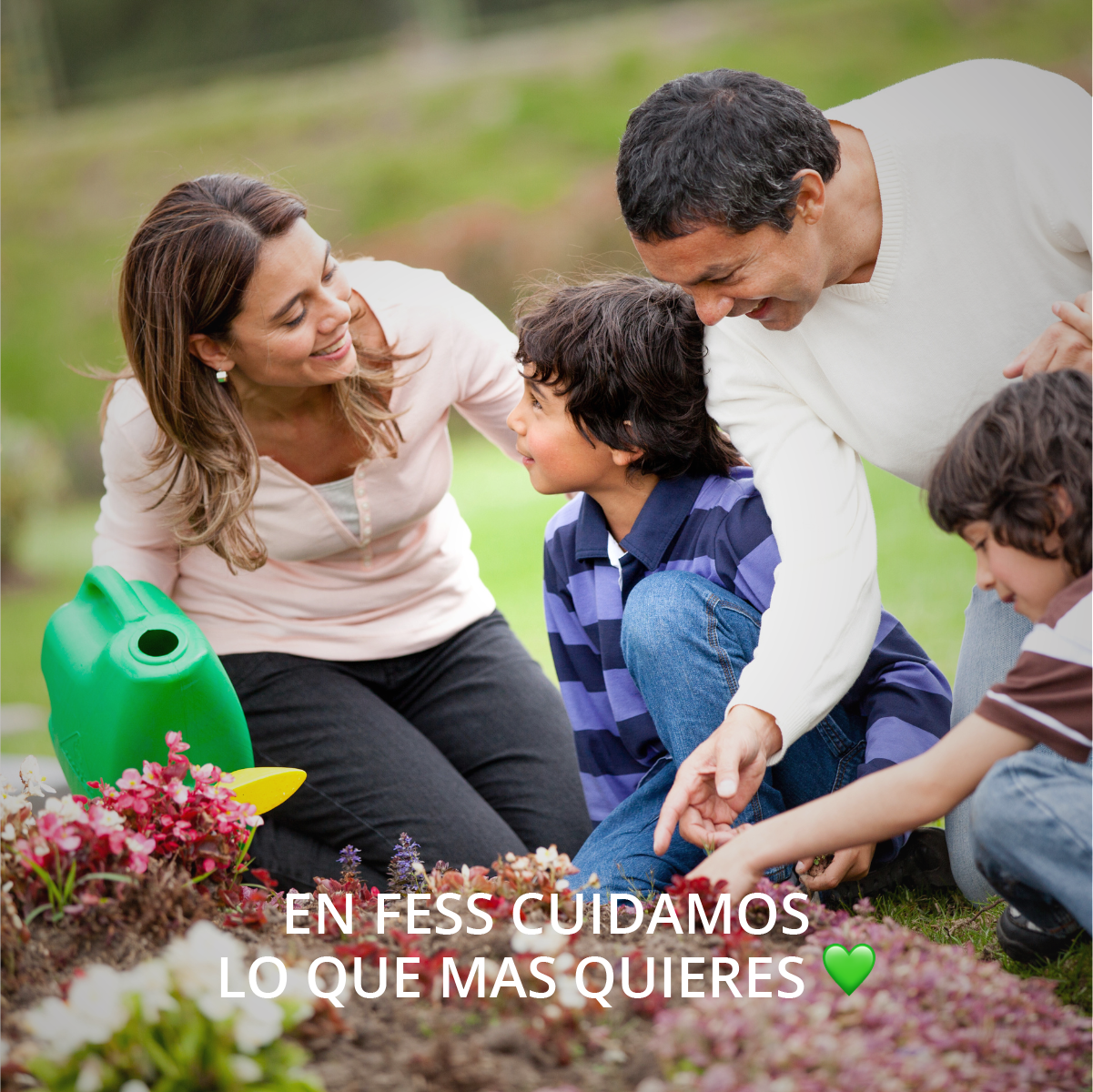 Paquete de 3 Protección contra Insectos, cucarachas, hormigas, Moscas, Mosquitos y otras Plagas. Productos naturales para el hogar. 