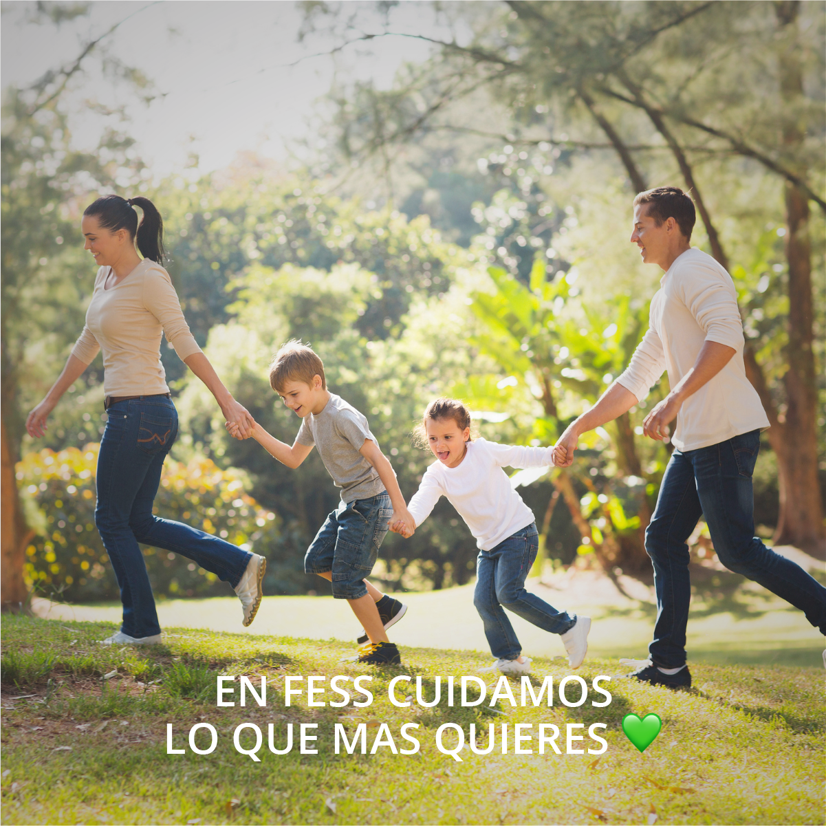 Repelente Natural de Hormigas, Cucarachas, otros Insectos para uso en casa y jardín. Aroma Canela. Limpia y desinfecta tu hogar. Soluciones naturales para plagas.