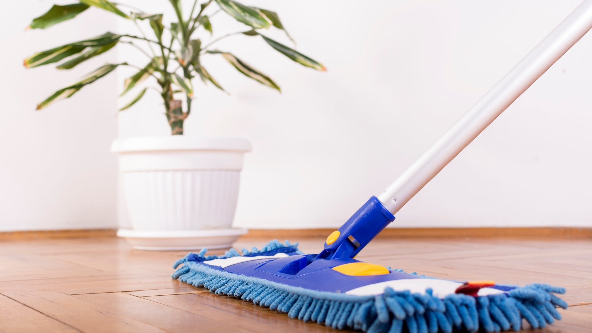 Repelente Natural de Hormigas, Cucarachas, otros Insectos para uso en casa y jardín. Aroma Canela. Limpia y desinfecta tu hogar. Soluciones naturales para plagas.