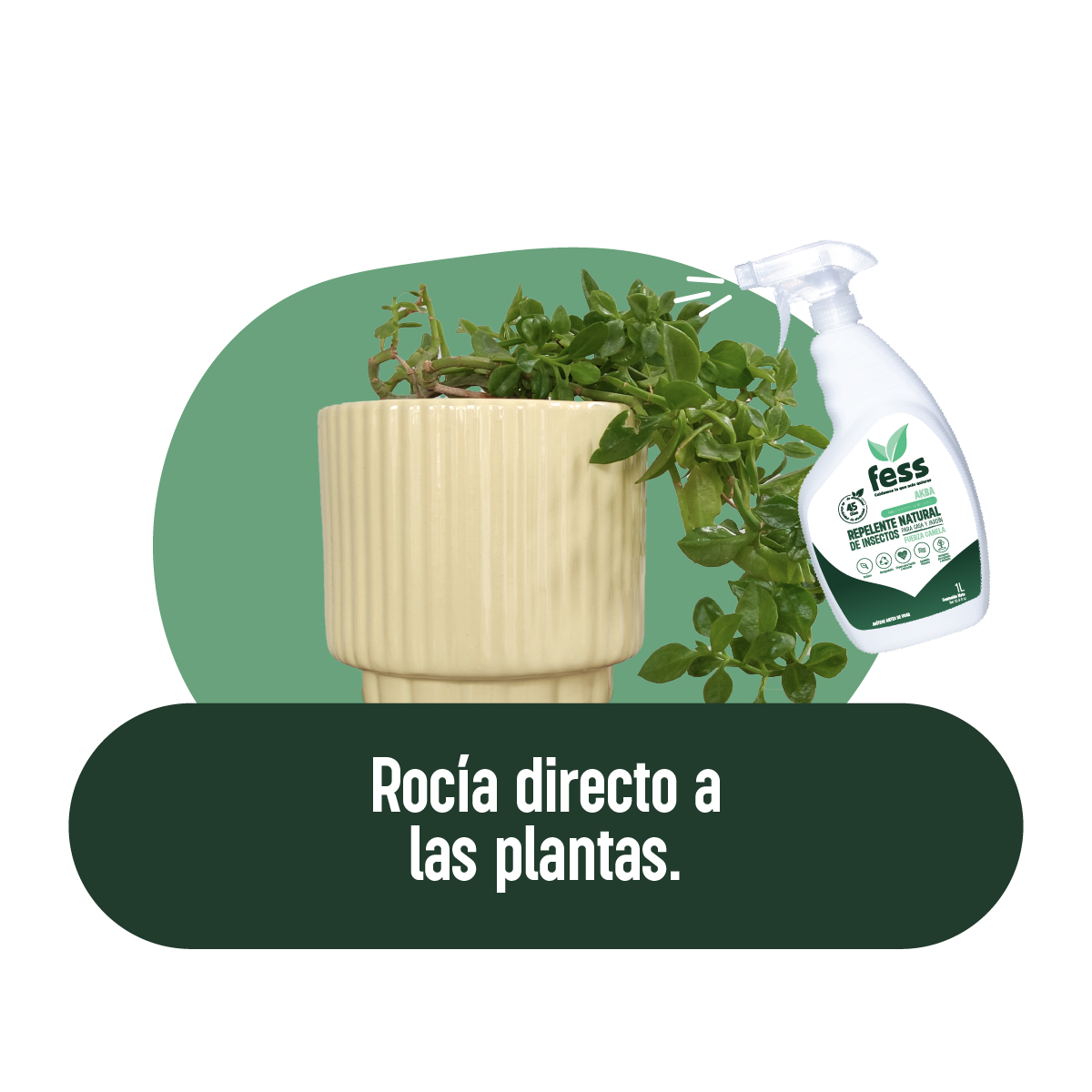Repelente Natural de Hormigas, Cucarachas, otros Insectos para uso en casa y jardín. Aroma Canela. Limpia y desinfecta tu hogar. Soluciones naturales para plagas