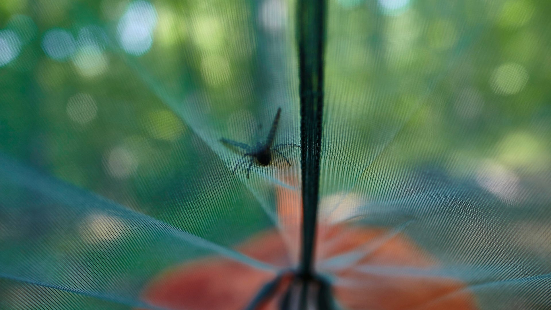 Repelente natural de mosquitos, mosco, zika, chinkungunya para casa y jardín. Es ideal para los días al aire libre, ya que repela de manera efectiva a los mosquitos. Protege a tus seres queridos con productos naturales.