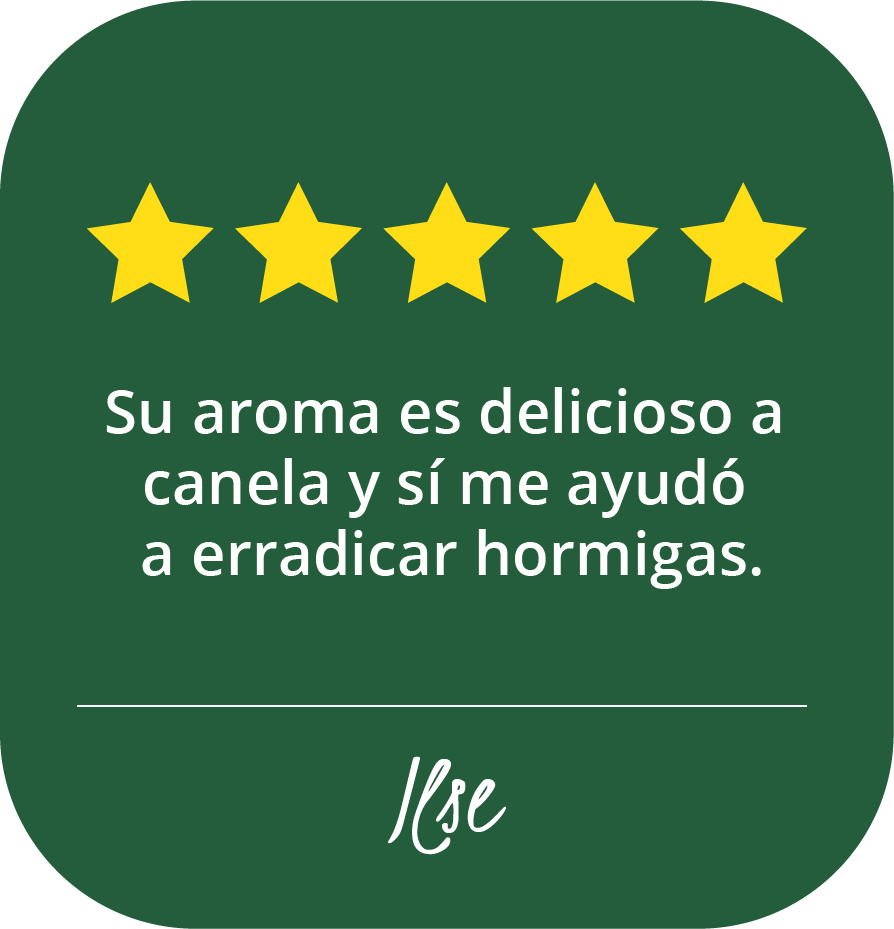 Repelentes naturales de insectos (cucarachas, moscas, hormigas) FESS aroma a canela. Ayuda a erradicar hormigas. Limpia y desinfecta tu hogar. Soluciones naturales para plagas.