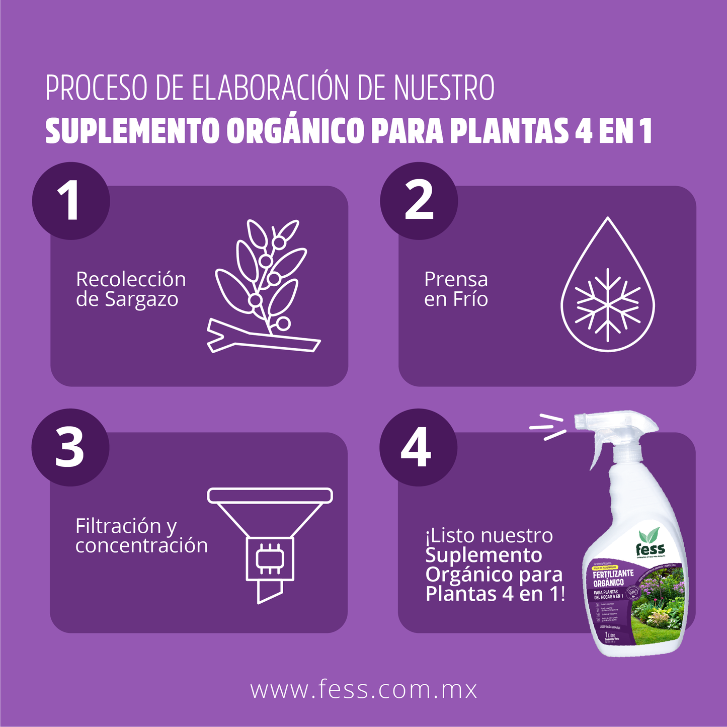 Fertilizante Orgánico Para Plantas del Hogar 4 en 1